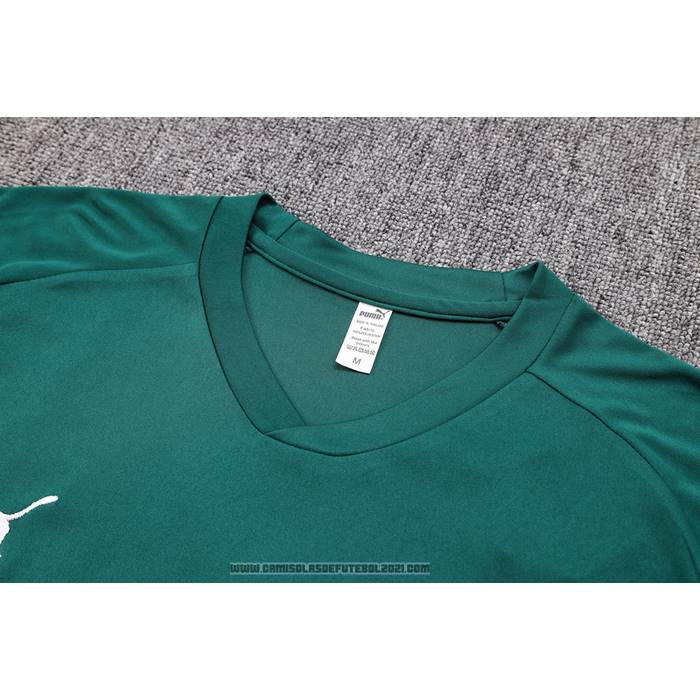 Fato de Treino Palmeiras Manga Curta 2023-2024 Verde - Calcas Curta